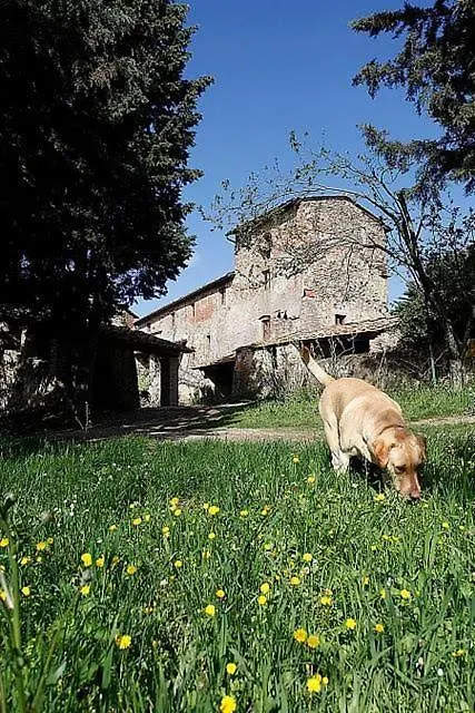 Holiday home Casa Corzanello Villa San Casciano in Val di Pesa