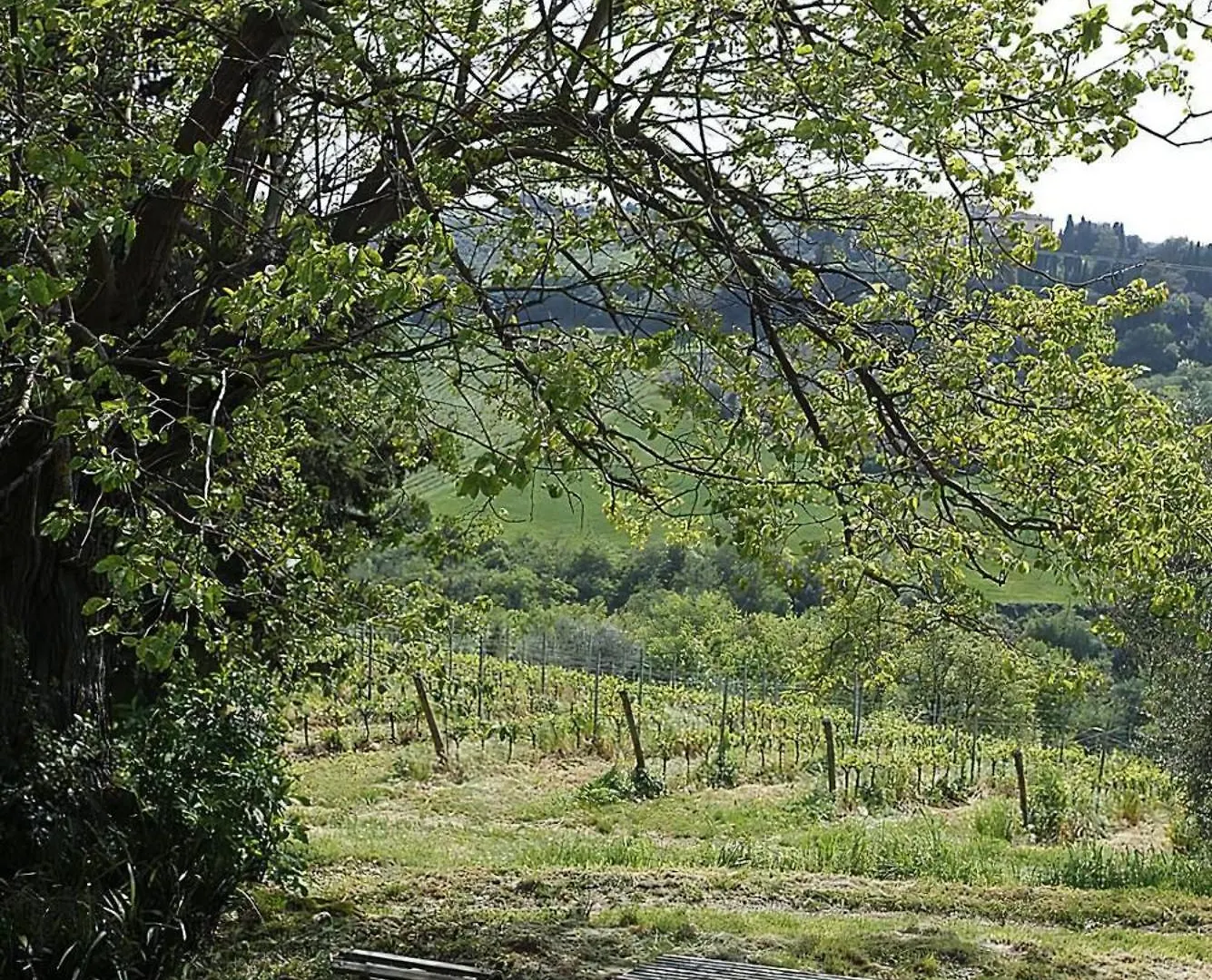 Casa Corzanello Villa San Casciano in Val di Pesa 0*,  Italy