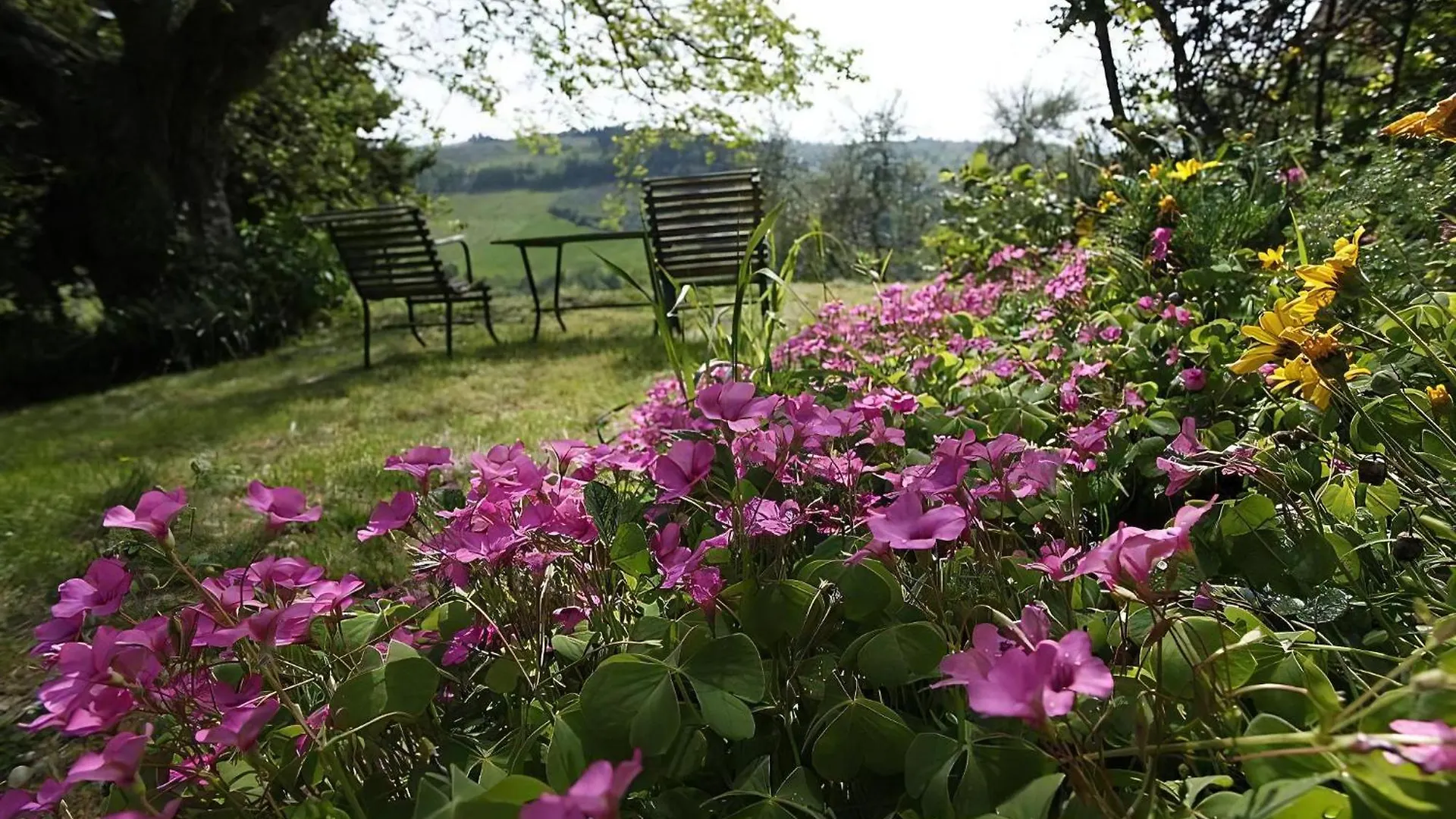 Casa Corzanello Villa San Casciano in Val di Pesa